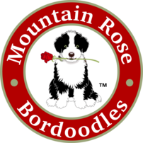 Mountain Rose Bordoodle Logo