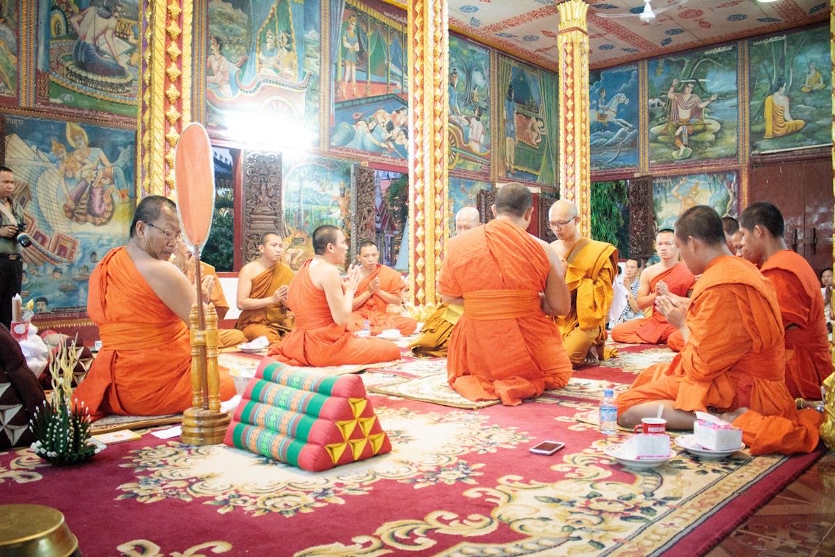 Bordoodle puppy photo